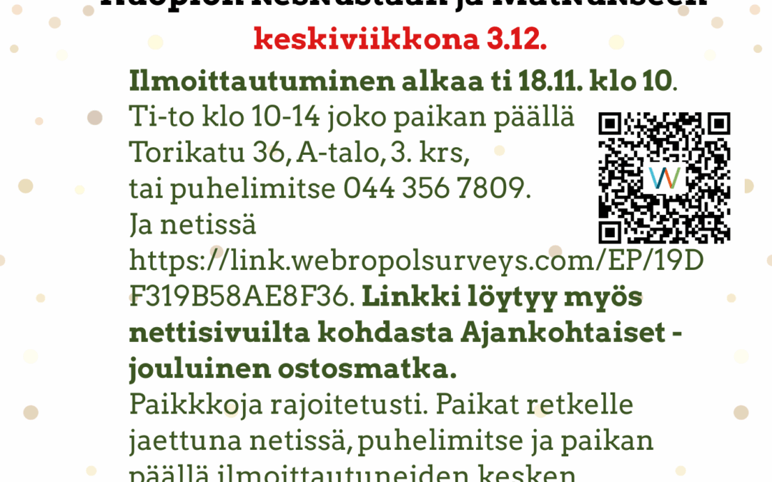 Kuopion joulumatka(3)